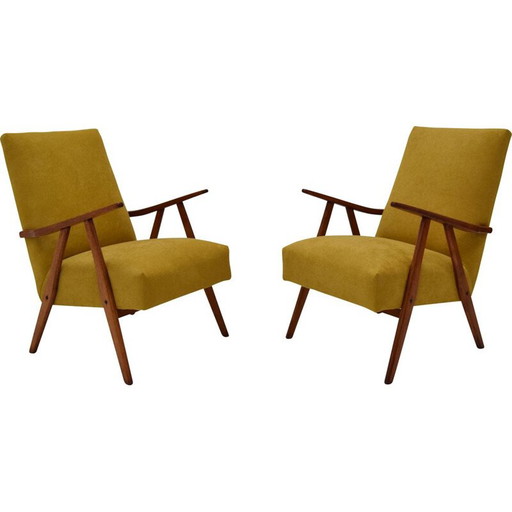 Coppia di poltrone vintage di Jiri Jiroutek, Cecoslovacchia 1960