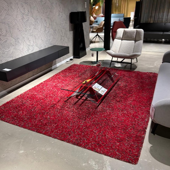 Image 1 of Millenerpoort Licasa vloerkleed - 235x300