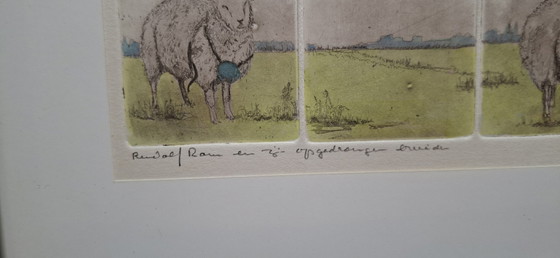 Image 1 of Litografia a colori raffigurante Rodolfo, l'ariete, e le sue spose forzate.