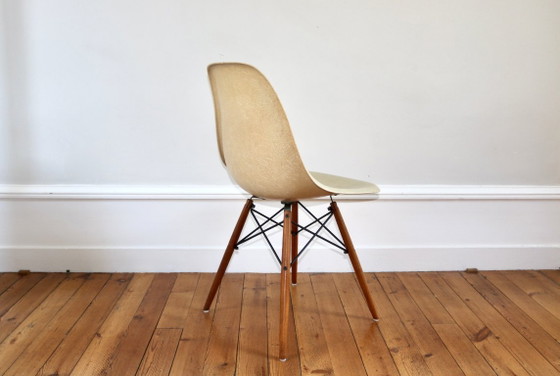 Image 1 of Vintage Eames DSW-stoel van Herman Miller, Mobilier International, 1960