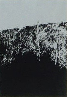 Rob Bruyninckx - 'Trees' - framed screenprint