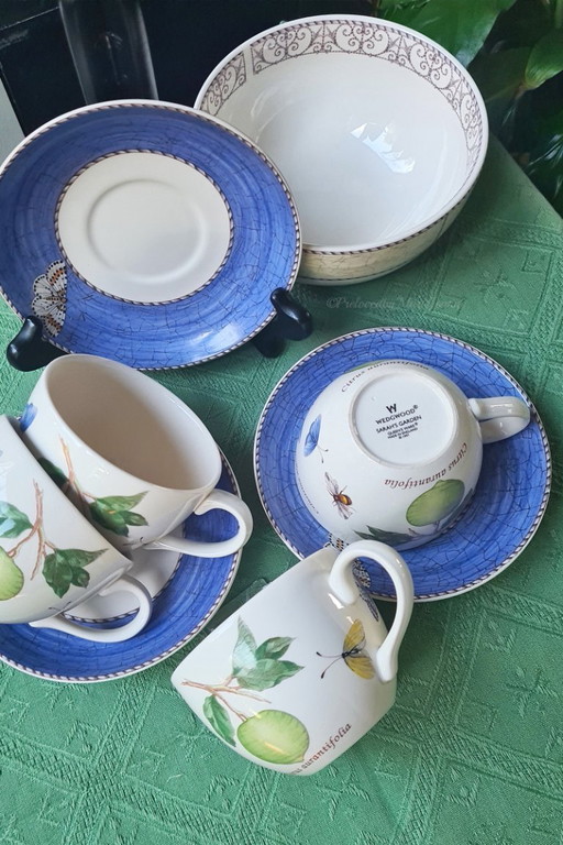 Sarah's Garden Wedgwood Queen's Ware 4 cups & saucers - unused.