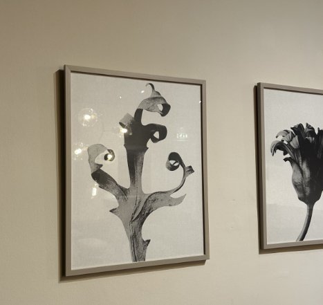 Image 1 of Boconcept - Delphinium Galerie