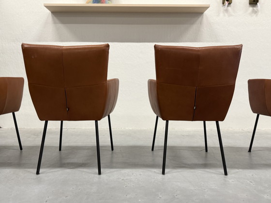 Image 1 of 4 Sillas de comedor Moka de diseño en stock Cera Cognac