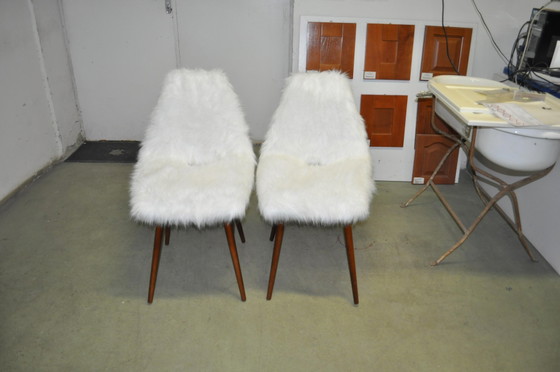 Set of Erika Side Chairs by Judit Burián for SZKIV, 1959, White, Mid Century Modern (photo 5 of 9)