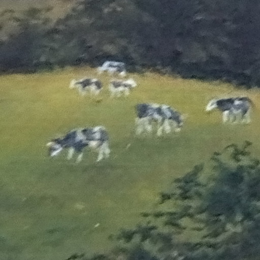 Encantadora miniatura antigua