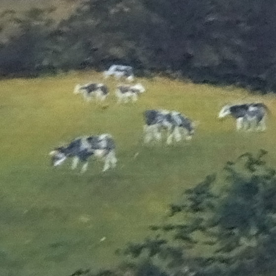 Image 1 of Affascinante miniatura antica