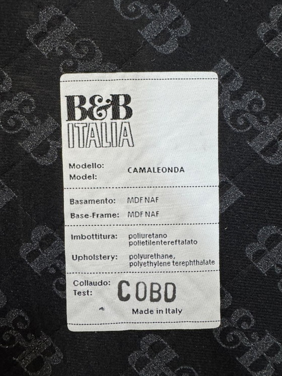 Image 1 of Divano B&B Italia CAMALEONDA Tessuto Verde Velluto Modello Espositivo