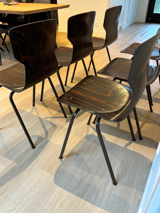 Image 1 of 6x Eromes Obo Chairs , Wijchen