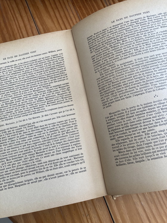 Image 1 of La terra del delfino verde