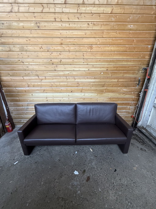 Sofá Leolux Timandra de 2,5 plazas (172 cm)