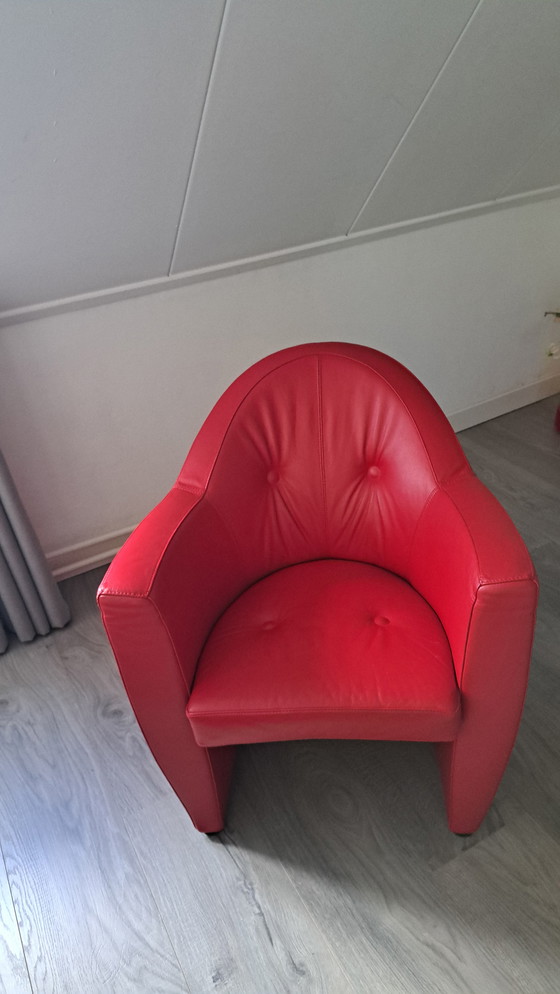 Image 1 of Leolux Carabita