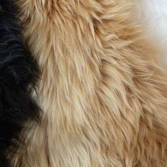 Image 1 of de Sede DS-265/01 Coco armchair