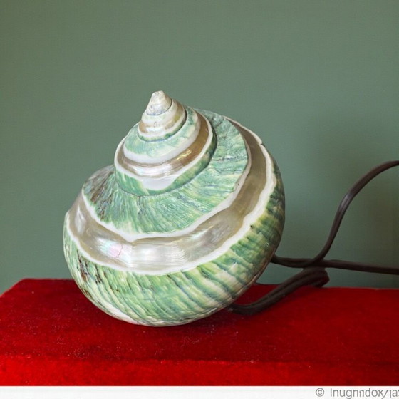 Image 1 of Juego de escritorio con luz de concha náutica y bolígrafo, años 40