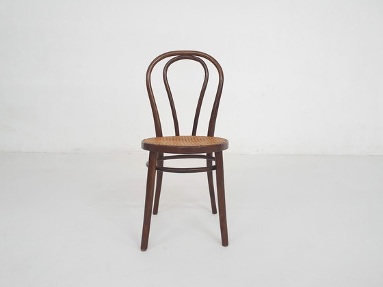 Image 1 of Chaise de salle à manger Thonet modèle n° 14, Tchécoslovaquie, années 1920