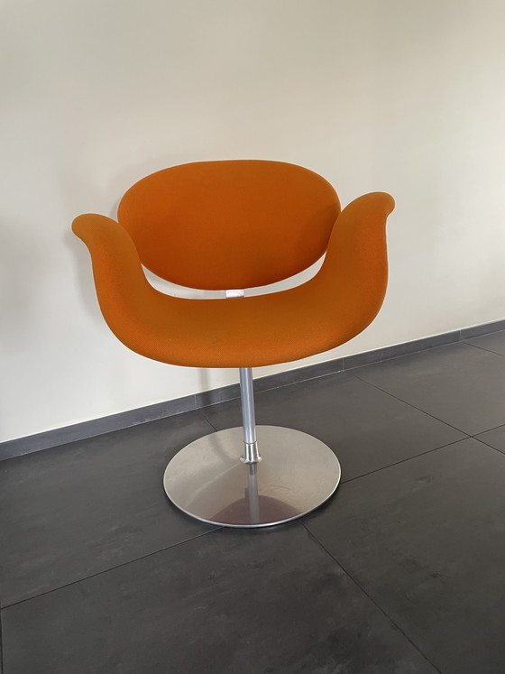 Image 1 of 4 x Tulip Artifort.