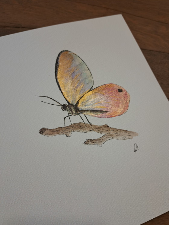 Image 1 of Watercolor painting Blushing Phantom Butterfly in gold-colored frame