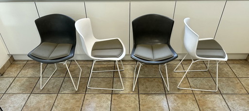 4x Harry Bertoia, Knoll-Stuhl