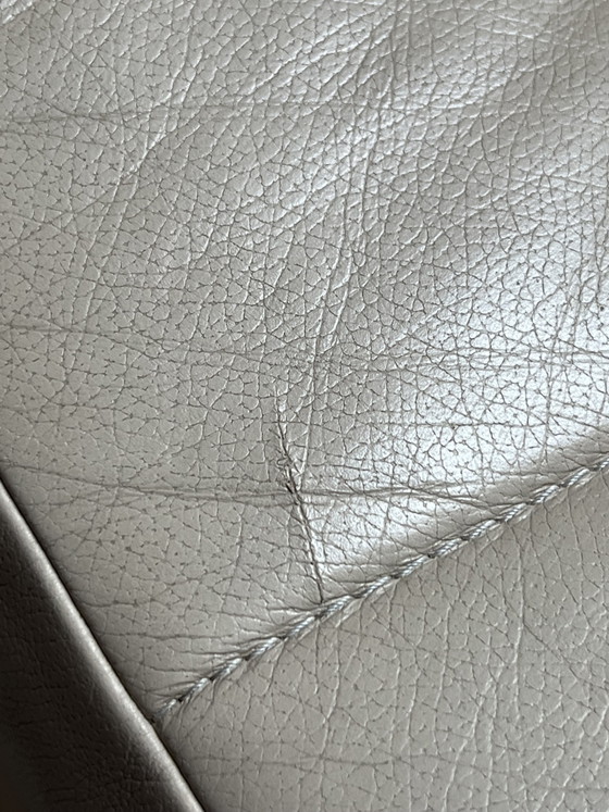 Image 1 of Leolux Volare