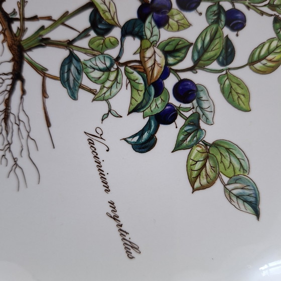 Image 1 of Villeroy & Boch Botanica series cake molds