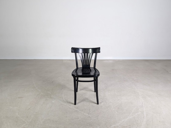 Image 1 of Silla original de mediados de siglo ZPM Radomsko café casa silla de madera curvada