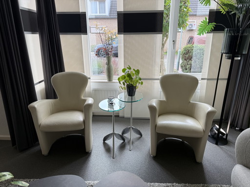 Two armchairs Leolux Amphora