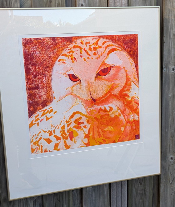 Image 1 of Large Coloring Set Snowy Owl Toni de Klerk
