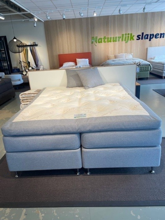 Image 1 of Ecolife - Agave Continental