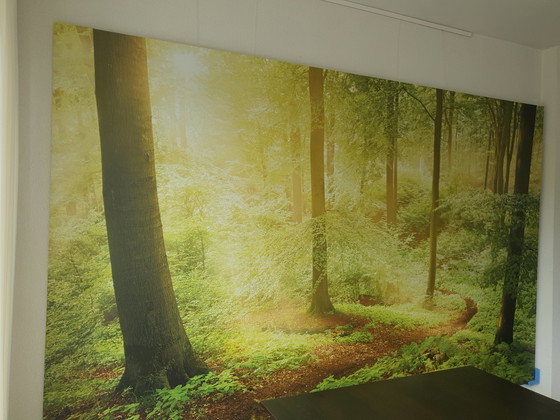 Image 1 of Wall-sized photo of a forest on aluminum 300 x 188 cm
