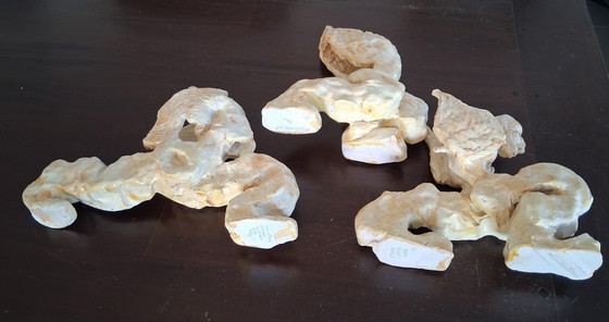 Image 1 of 3 angelic images by Rita Vermeulen: Willpower, Perseverance and Steadfastness