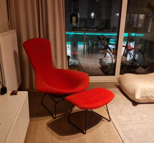 Sedia Knoll Bird + Pouf Harry Bertoia