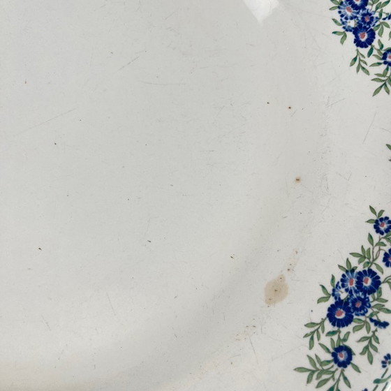 Image 1 of Round dish "Daisies", Sarreguemines, 1875 - 1920