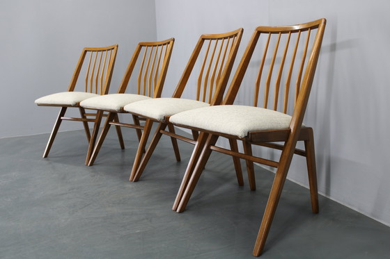 Image 1 of 1970 Ensemble de quatre chaises de salle à manger en hêtre, Allemagne de l'Ouest
