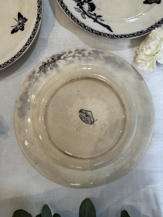 Image 1 of Set of 4 Ironstone plates, Wallace pattern -