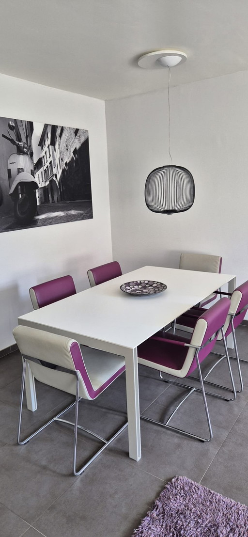 6 Leolux Dining Chairs Model Spring Orchid (4) and Spring Dancer (2).