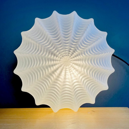 Frosted glass round flush mount light in shape of Sea Urchin shell