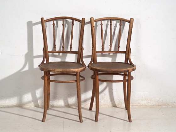 Pair of Thonet style bentwood chairs with turned spindles – Central Europe, circa 1920 – Dining chairs (photo 22 of 40)