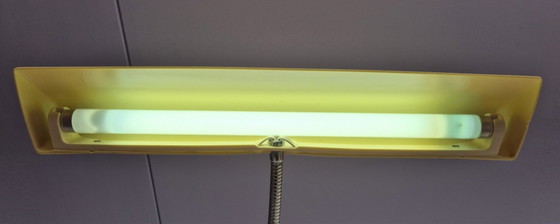 Image 1 of Lampe de bureau National Gooseneck (modèle FS-558E)