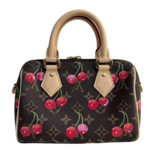 Louis Vuitton Speedy 20
