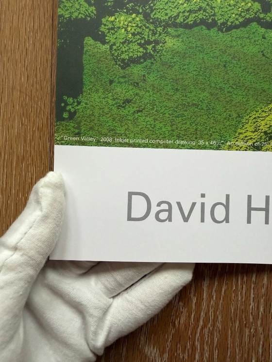 David Hockney, Green Valley, 2008, Copyright David Hockney, Gedruckt in Großbritannien, Kunstdrucke, Papier (Foto 9 von 9)