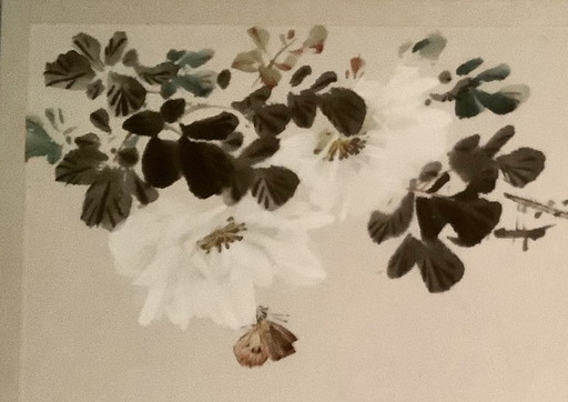 Lithographie chinoise.