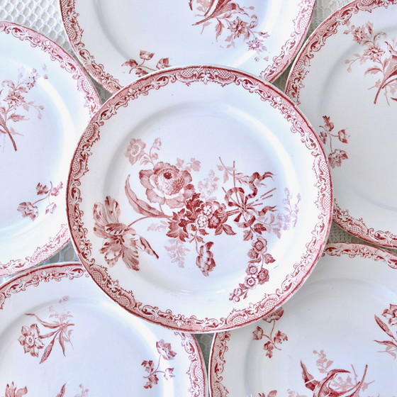 Image 1 of Assiettes Xixe Terre De Fer Rose, Sarreguemines Collection "Fontanges"