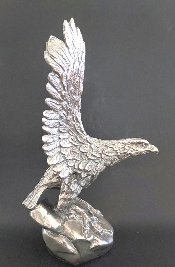 Image 1 of Mooie Adelaar beeld