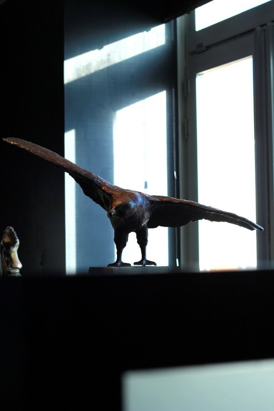 Image 1 of Buizerd - Arvid Henkes