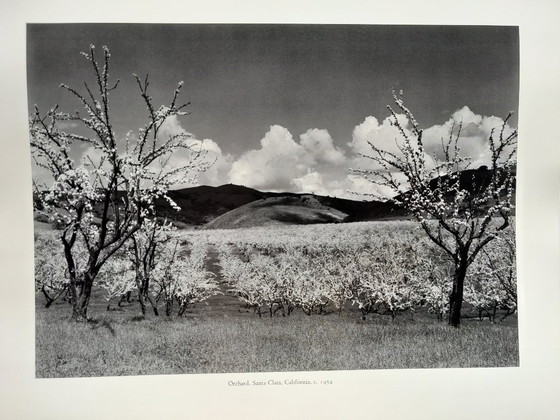 Image 1 of Calendario de Ansel Adams de 1988