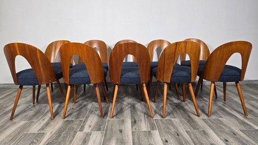Dining Chairs by Antonin Suman
