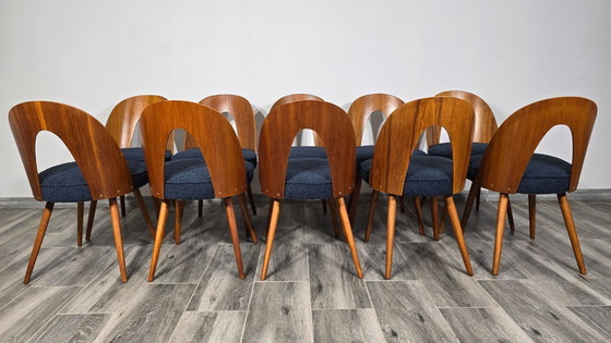 Image 1 of Esstischstühle von Antonin Suman