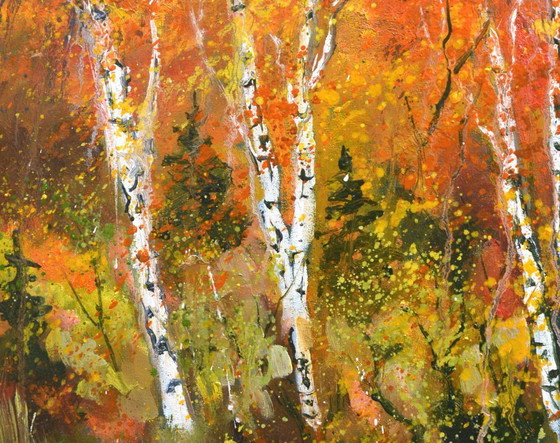 Image 1 of Aspen trees in autumn