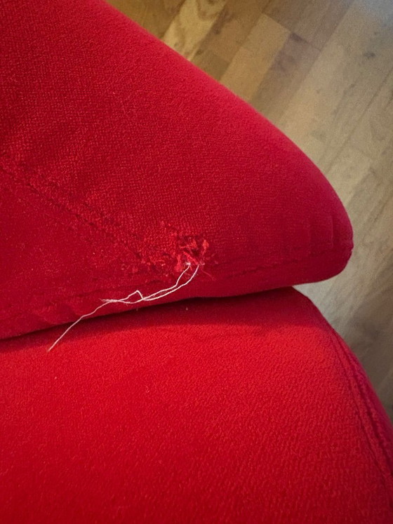 Pedrali 3-5 Sitzer Sofa - Modell Buddy (Roter Samt) – Velvet (photo 4 of 5)