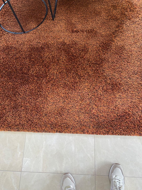 Alfombra – Millenerpoort, Wool, Silk (photo 3 of 10)